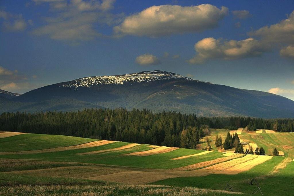 Chata Ziva Pod Babou Horou Oravská Polhora Exteriér fotografie