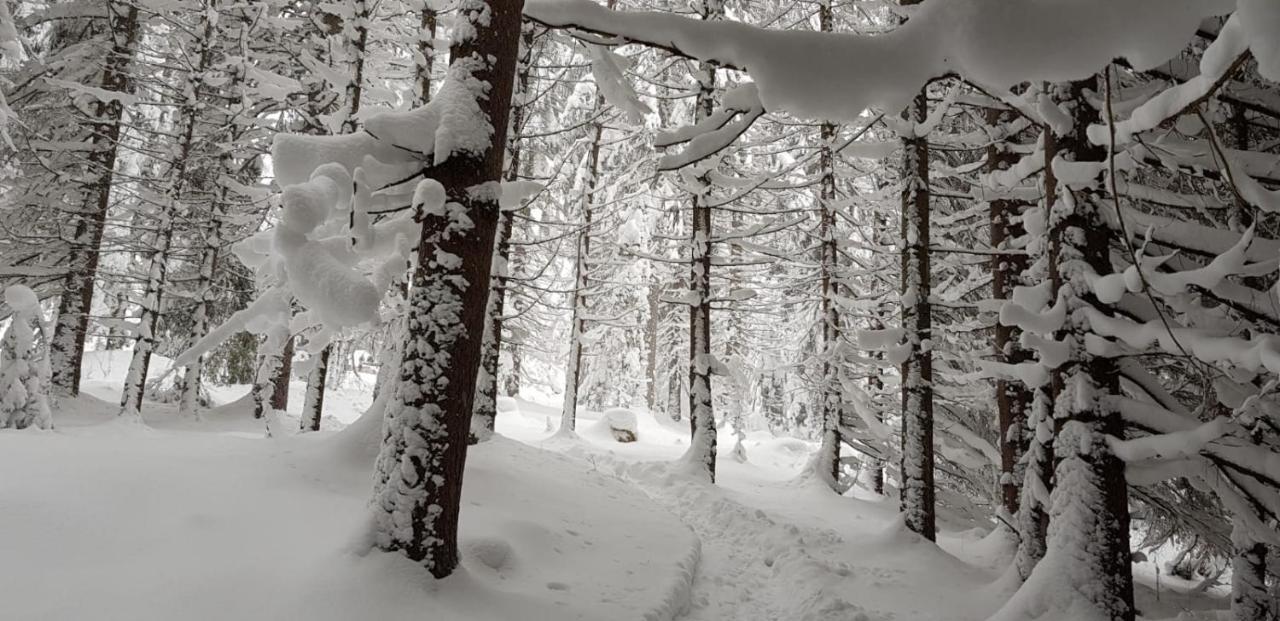 Chata Ziva Pod Babou Horou Oravská Polhora Exteriér fotografie