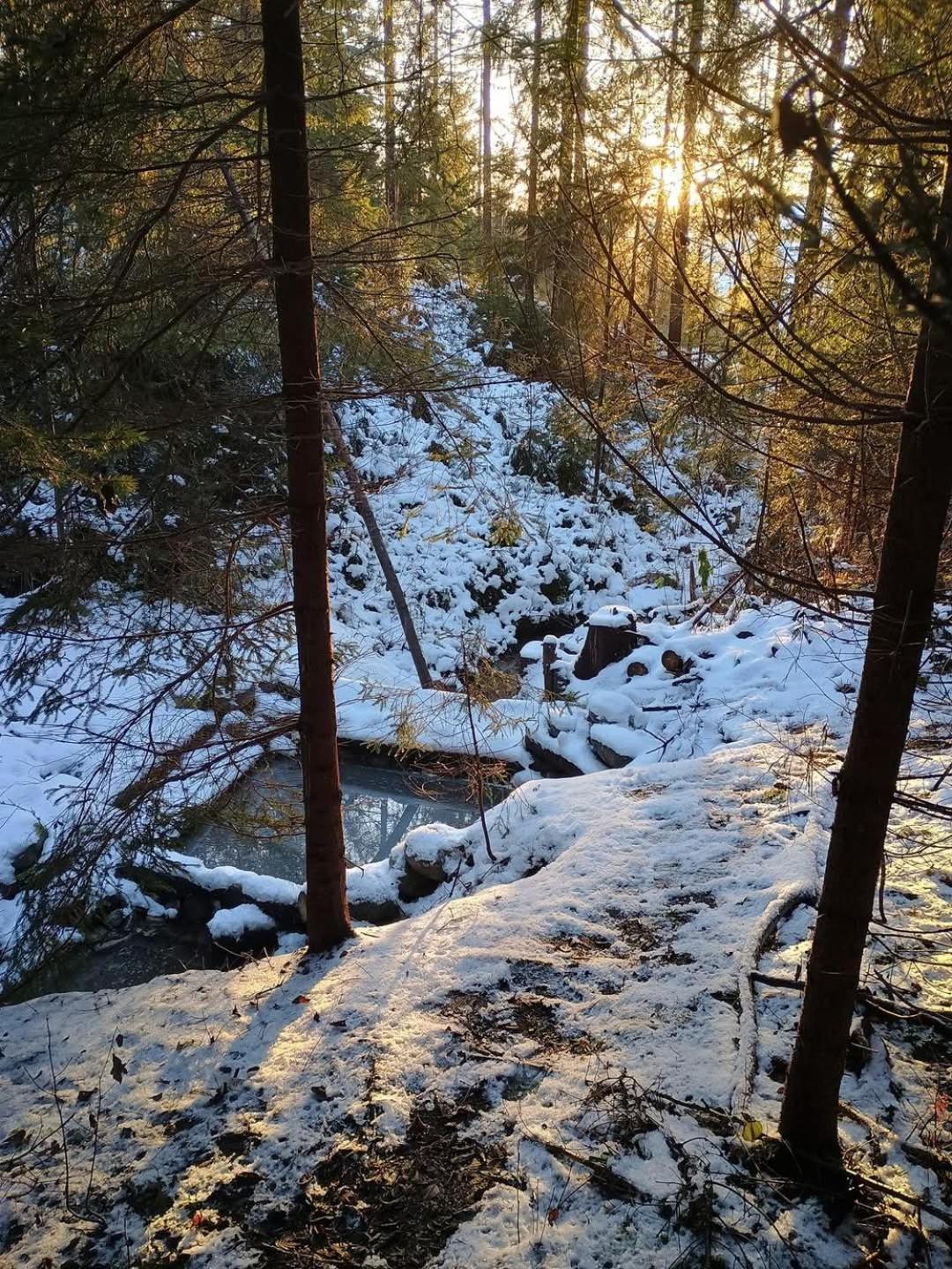 Chata Ziva Pod Babou Horou Oravská Polhora Exteriér fotografie